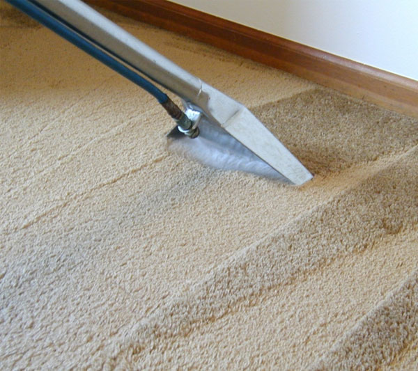 LIMPEZA DE CARPETES